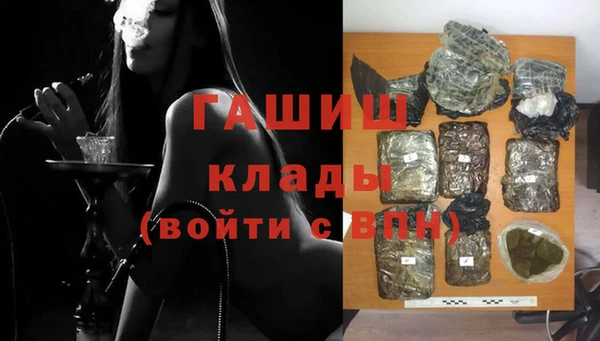 СК Ельня