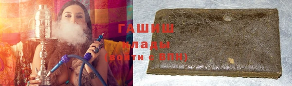 СК Ельня