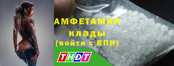 СК Дмитров
