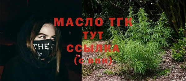 СК Дмитров