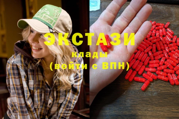 СК Ельня