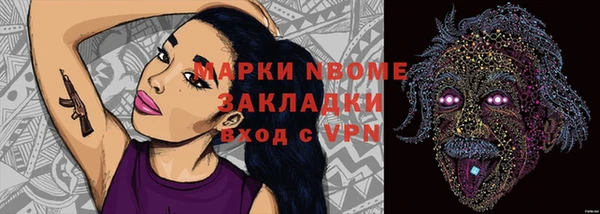 СК Дмитров