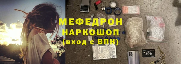 СК Ельня