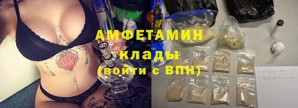 СК Ельня